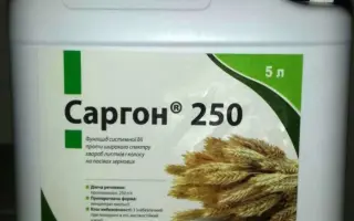 Саргон 250 к.е.