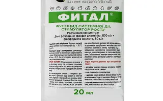 Кемистар к.е.