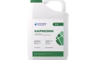 Композит SCк.с.