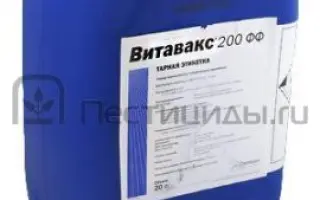 Витавакс 200 Ф.Ф.в.с.к.