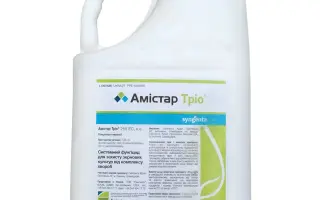 Амистар Тріо 255 ЕС