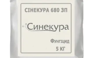 Синекура 680 з.п.