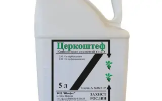 Церкоштеф к.с.