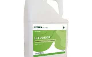 Штефікур к. с.