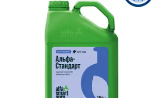 АЛЬФА – СТАНДАРТ К.С.