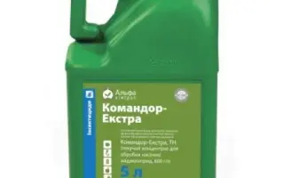 АЛЬФА-ПРОТРУЙНИК Т.К.С.