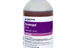 Талендо 20 к.е.