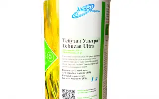 Тебузан Ультра