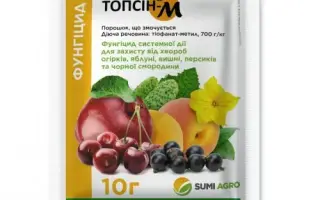 Топсін М з.п.