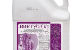 Віртуоз к.е.