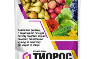 Тиорос в.г.