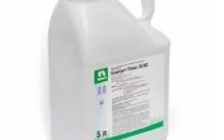 Компакт Плюс к.с.