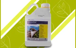 Скальпель 250 к.с.