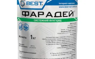 Фарадей в.г.