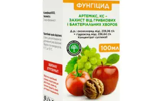 Фунгікинг к.с.