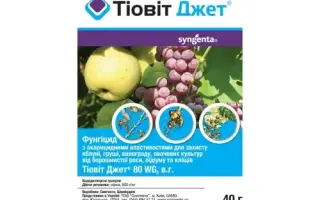 Тіовіт Джет 80 WG в.г.