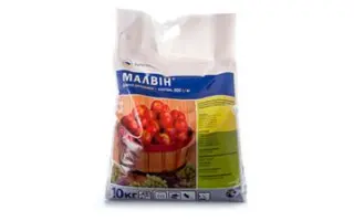 Малвін 80 в.г.