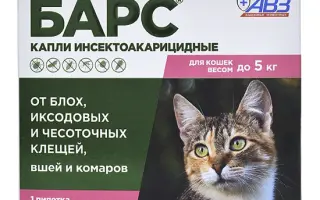 Бар-Кот-5 к.с.