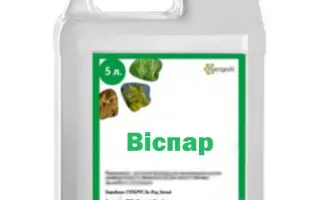 Віспар в.к.с.