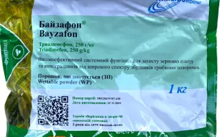 Байзафон з.п.