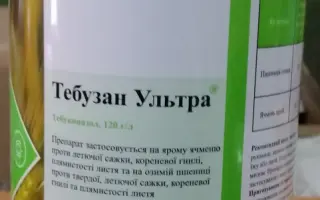 Тебузан Ультра