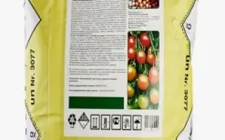 Фортуна к.с.