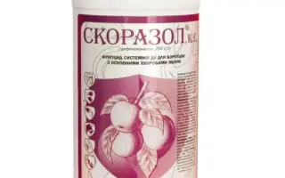Скоразол к.е., (Дифеноконазол 250 г/л)