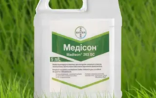 Медісон 263 SC