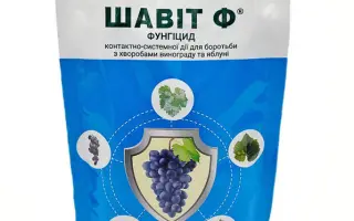 Шавіт Ф 72 в.г.