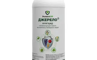 Джерело к.с., (Тридімефон 200 г/л+флутриафол 150 г/л)