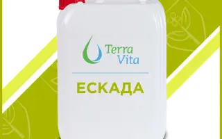 Ескаплап
