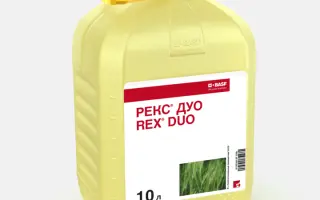 РЕКС ДУО к.с