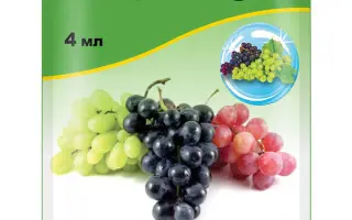 Фалькон 460 ЕС к.е.