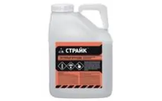 Страйк,т.к.с.