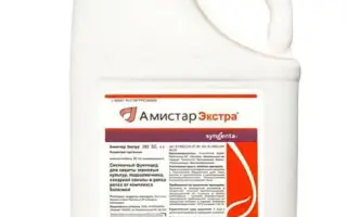 КЕМІСТАР@, к.е.