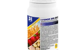 Дінасті 250 в.е.