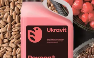 Рекорд т.к.с.