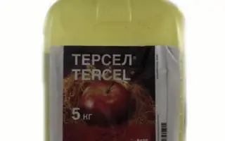 ТЕРСЕЛ®