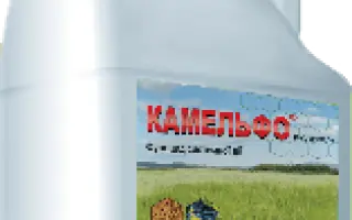 Камельфо к.с.