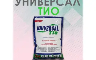 Універсал Тіо в.д.г.