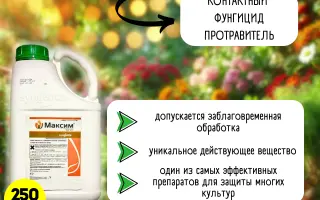 Террасил 250