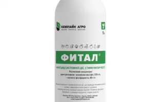 Фитал в.р.к.