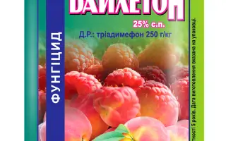 Байлетон 25 WP