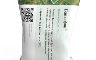 Байзафон з.п.