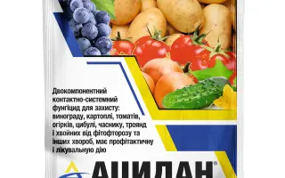 Ацидан з.п., (Металаксил, 80 г/кг+манкоцеб, 640 г/кг)