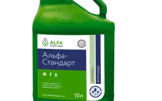 Альфа-Стандарт к.с.