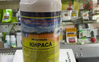 КИРАСА