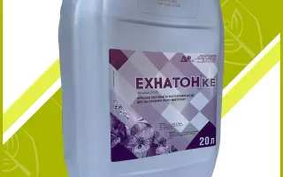 Ехнатон к.е.