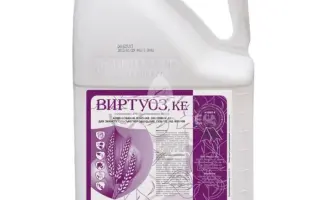 Вертуоз к.е.