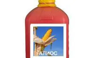 Аліос, т.к.с.